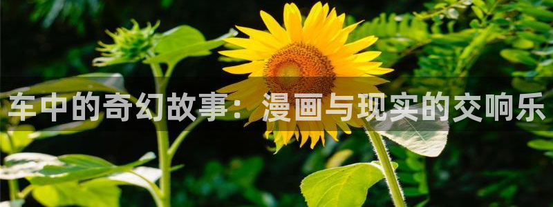 没有钱新新漫画：车中的奇幻故事：漫画与现实的交响乐