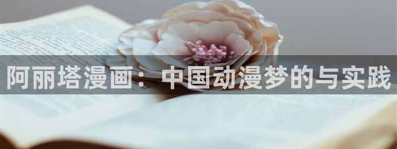 鸣鸟不飞漫画新新漫画：阿丽塔漫画：中国动漫梦的与实践