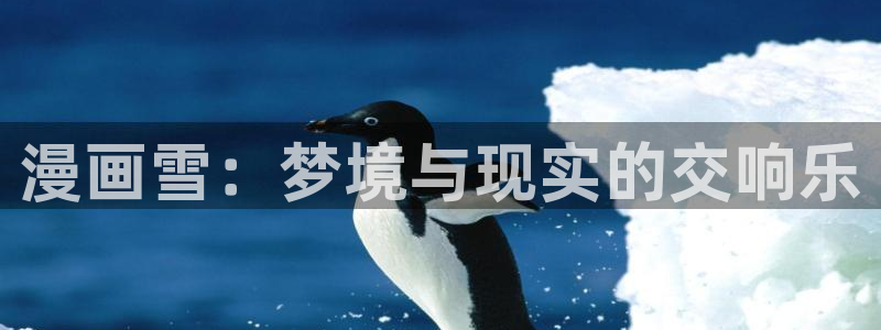 新新动漫：漫画雪：梦境与现实的交响乐