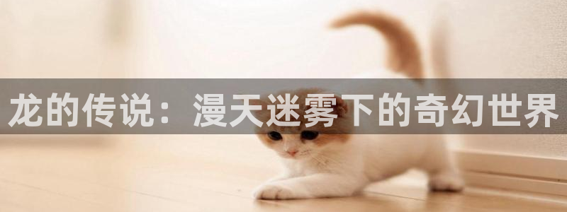 新新漫画首页：龙的传说：漫天迷雾下的奇幻世界