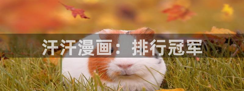 新新漫画下载：汗汗漫画：排行冠军