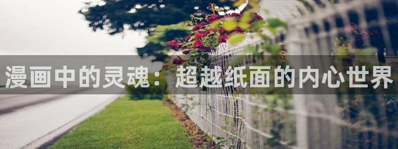 新新漫画免费：漫画中的灵魂：超越纸面的内心世界