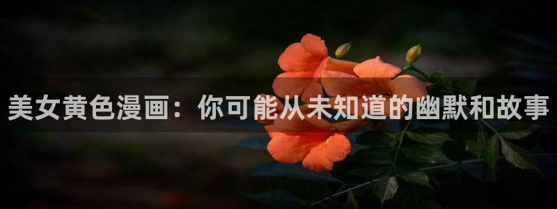 新新漫画改名叫什么了：美女黄色漫画：你可能从未知道的幽默和故事