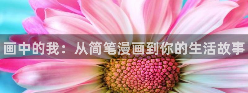 新新漫画改名叫什么了：画中的我：从简笔漫画到你的生活故事