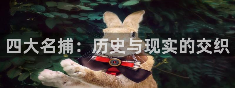 新新漫画.：四大名捕：历史与现实的交织