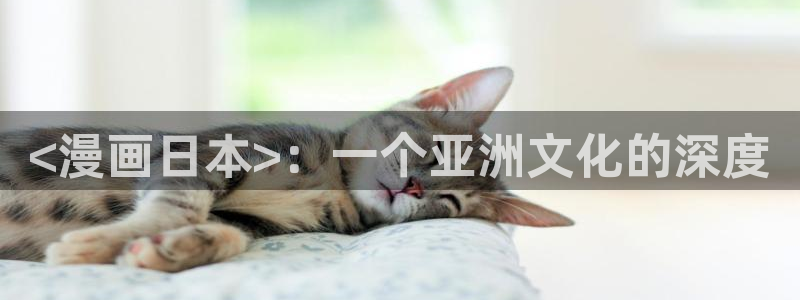 重考生新新漫画：<漫画日本>：一个亚洲文化的深度