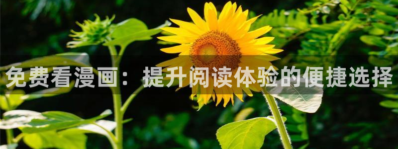 寄宿日记新新漫画：免费看漫画：提升阅读体验的便捷选择